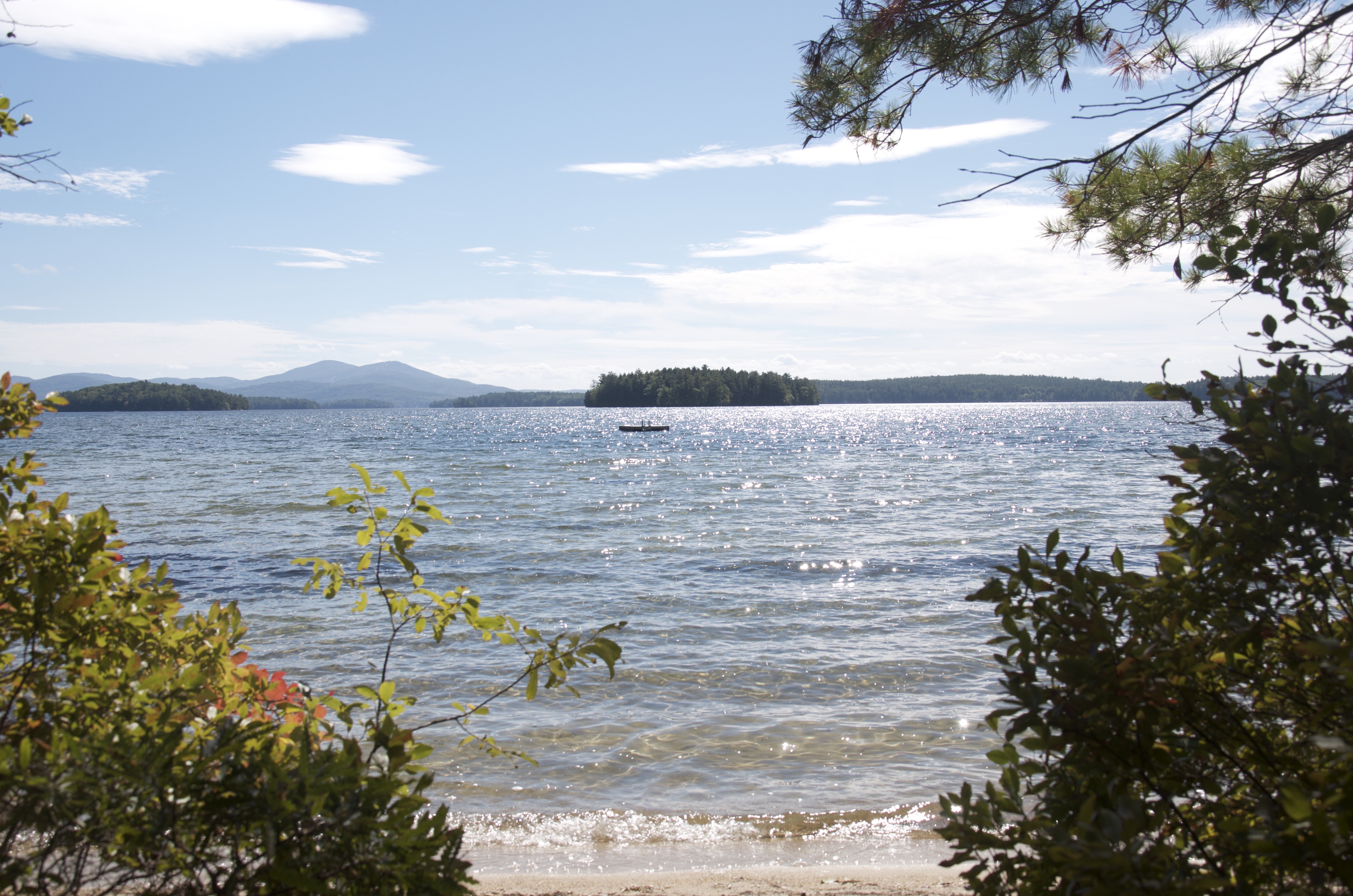 Town of Moultonborough NH Area Info & Real Estate Listings